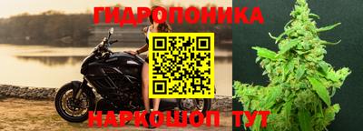 ECSTASY Чапаевск