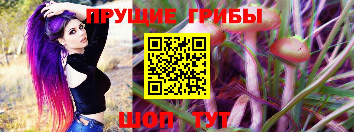 Галлюциногенные грибы GOLDEN TEACHER  Вход с VPN  дарнет шоп  Ахтубинск 